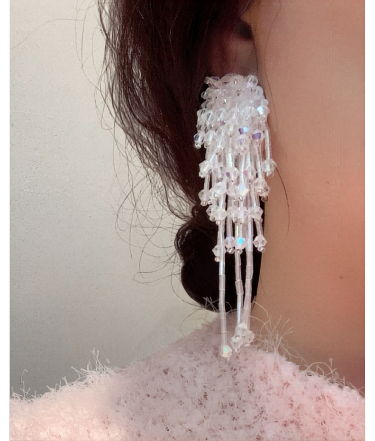 韓國 BIANCOPIG 幻彩珠片流蘇垂墜耳環｜韓系華麗感 Long Tassel Earrings