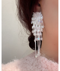 韓國 BIANCOPIG 幻彩珠片流蘇垂墜耳環｜韓系華麗感 Long Tassel Earrings
