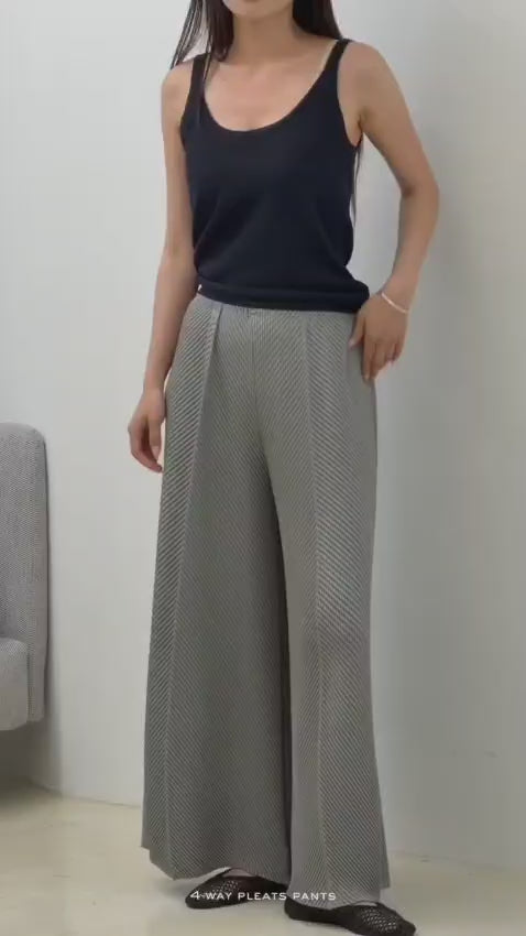 H02 4 way pleats pants